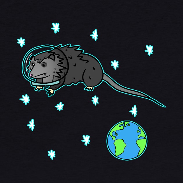 SPACE OPOSSUM by roxiqt